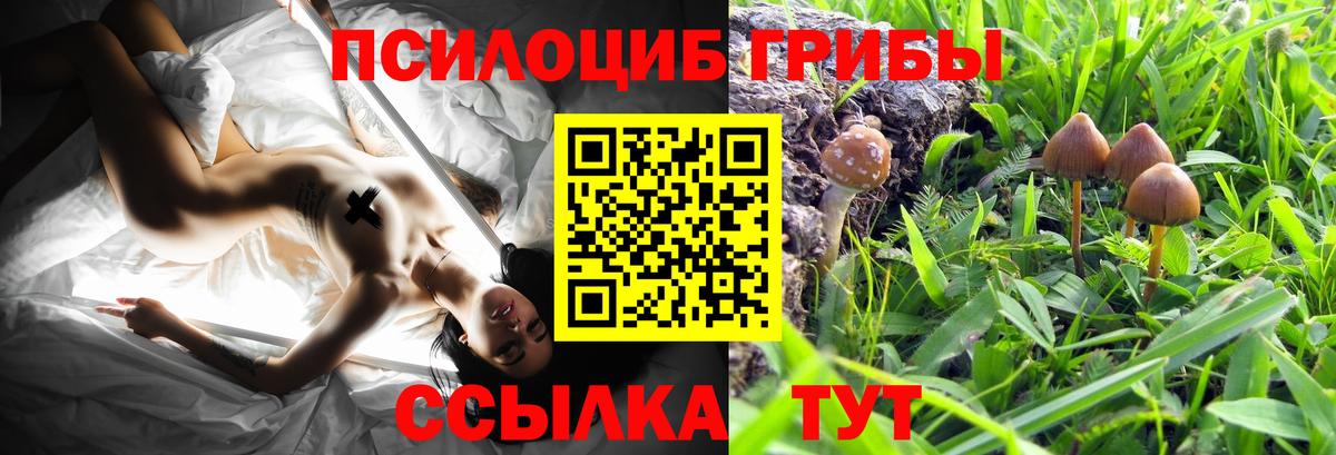 Псилоцибиновые грибы мицелий  Вход с VPN  сколько стоит  Луга 
