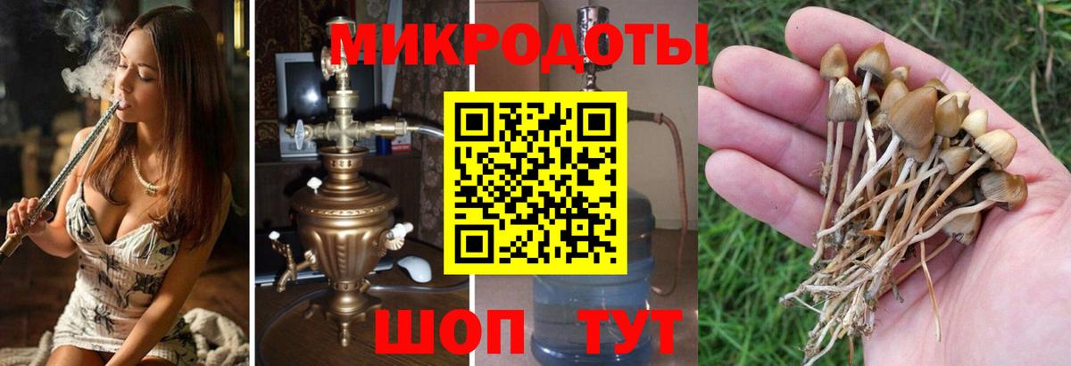 Галлюциногенные грибы GOLDEN TEACHER Луга